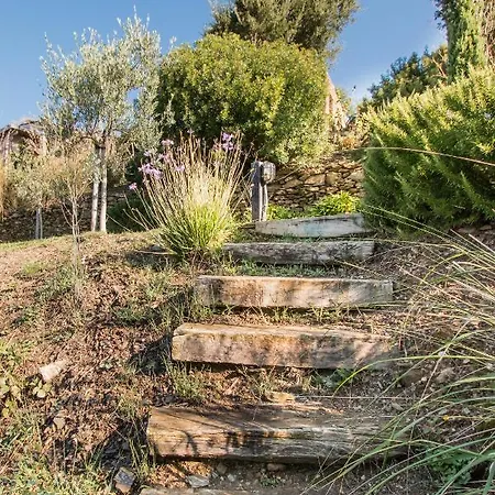 Il Fico, Isola D'elba, Piscina E Aria Condizionata *