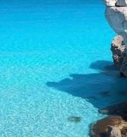 Il Fico, Isola D'elba, Piscina E Aria Condizionata * Rio Marina