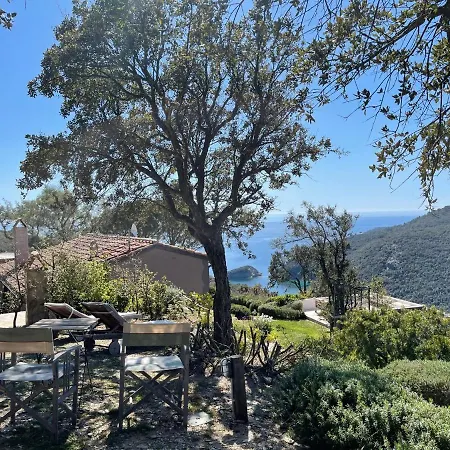 Villa Il Fico, Isola D'elba, Piscina E Aria Condizionata *